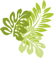 Hibiscus Hawaiian Leaves Jungle Schizopetalus Drawing - Free PNG