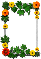 Frames Picture Frame Flower Free PNG HQ