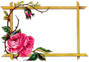 Frames Picture Frame Flower Art Free Photo PNG