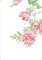 Cut Roses Centifolia Design Floral Flowers - Free PNG