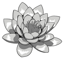 Lotus Tattoos Png Clipart