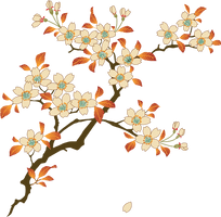 Floral Photos - Free PNG