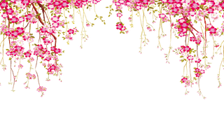 Euclidean Vector Border Flower Free Download PNG HD