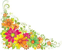 Floral Png Image