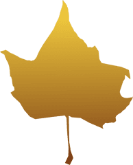 Plantleafmaple Leaf Png Clipart - Royalty Free Svg Png