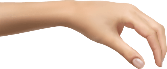 Human Hand Png Hd - Human Hand Png