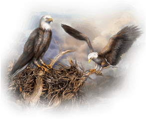 Nesting - Eagle And Nest Painting Png