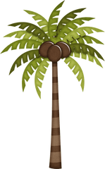 Hawaiian Aloha Tropical - Coqueiro Com Coco Png Clipart Coqueiro Png