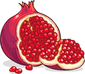 Pomegranate Png Image - Clipart Pomegranate Png