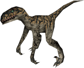 Raptor Png Clipart Vectors Psd - Dinosaur Images Hd Png