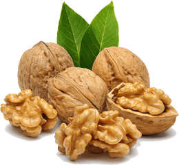 Download Walnut Png Image For Free