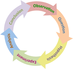 The Scientific Method - Peterborough Victoria Northumberland And Clarington Catholic District School Board Png