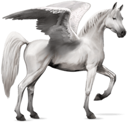 Horse Wings - Howrse Arabian Horse Transparent Png