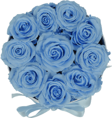Original Baby Blue Roses - Blue Rose Png