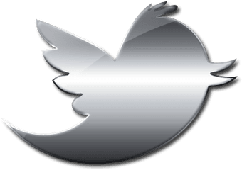 Logo Social Media Computer Icons Silver Image - Twitter Bird Silver Twitter Logo Png