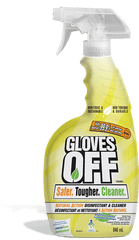 Shaes Blog 201209 - Household Cleaning Product Png