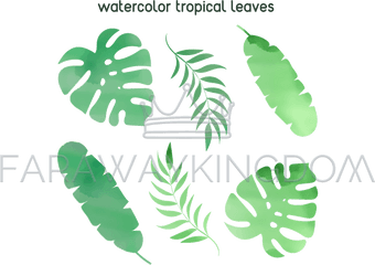 Watercolor Tropical Leaf Summer Vector Illustration Set - Illustration Png