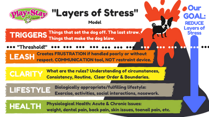 Download Hd Layers Of Stress Png - Layers Of Stress