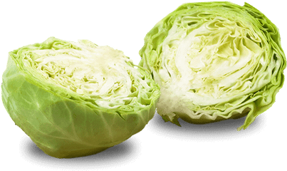 White Ornamental Cabbage Png Jpg - Cabbage Free Jpg