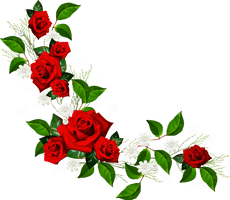 Rose Frame Flower Pic Red PNG File HD