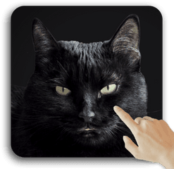 Cute Black Cat Live Wallpaper - Apps On Google Play Cute Black Live Png