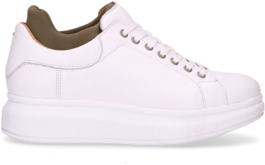 White Lace Up Sneaker Smooth Leather With Neoprene Sock Olive - Plimsoll Png