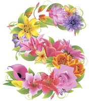 Alphabet Flower Free Download PNG HQ