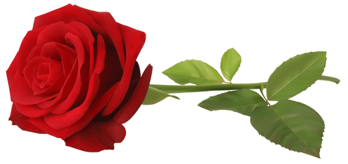 Rose Png Hd 2 Image - Rose Png