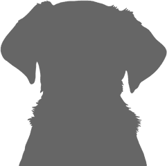 Rescue Dog Siberian Husky Jasmine Dogs Trust - Sitting Puppy Silhouette Png