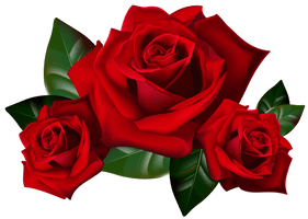 Red Rose Transparent Image - Free PNG