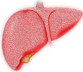 Liver Hepatic Organ - Easy Hepatitis B Drawing Png