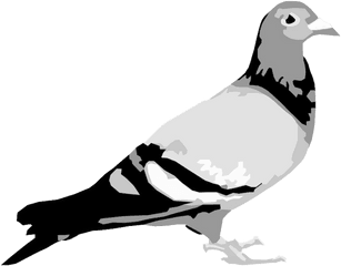 Staple Pigeon Png Image - Logo Staple Pigeon