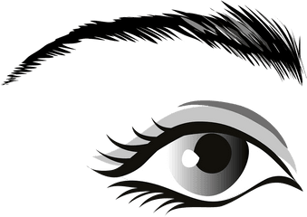 Eye Gray Eyes Eyelid - Man Eye Clip Art Png