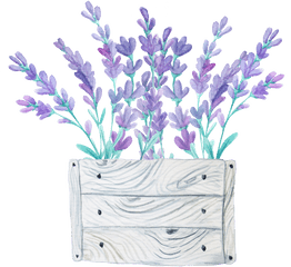 Download Hd Wood Flower Bed Transparent Decorative Material - Watercolor Painting Png