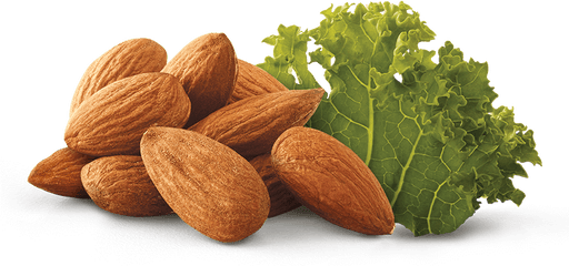 Almond And Kale - Almond Png