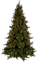 Christmas Tree Png Picture