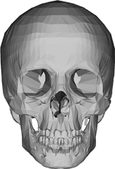 3d Skull Png U0026 Free Skullpng Transparent Images 67058 - 3d Model Skull Png