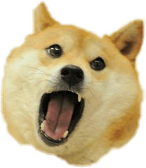 Original Doge Transparent Png Image - Doge Transparent Png