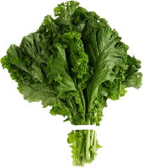 Download Mustard Greens Png Image For Free - Saag Vegetable Png