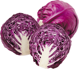 Cabbage Png Free File Download - Red Cabbage