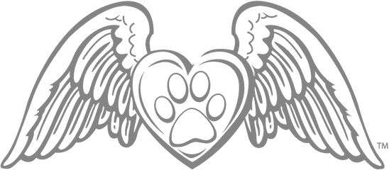 Paw Print Drawing - Angel Wings No Background Transparent Angel Wings Png Cartoon