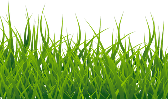 Vector Grass Free Photo - Free PNG