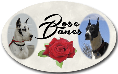 Rose Danes - Great Dane Png