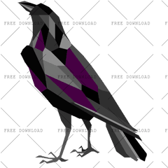 Crow Bird Png Image With Transparent Background - Photo 758