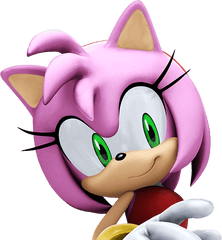 Download Amy Sonic The Hedgehog Png - Amy Rose Shadow Hedgehog Amy Sonic