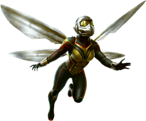 Ant Man - Wasp Marvel Png