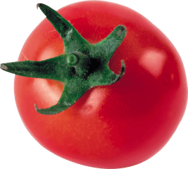 Tomato In Png Web Icons - One Tomato Png