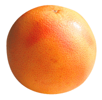 Grapefruit Pic Free Clipart HQ - Free PNG