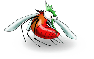 Mosquito PNG Image High Quality