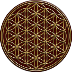 Flower - White Flower Of Life Png